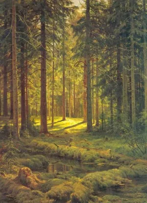 A Coniferous Forest. Sunny Day by Ivan Ivanovich Shishkin Oil Painting