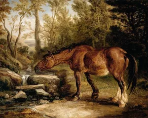 A Horse Drinking at a Stream by James Ward Oil Painting