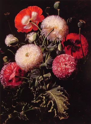 Still Life with Pink, Red and White Poppies by Johan Laurentz Jensen Oil Painting