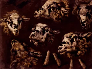 A Study Of Heads Of Sheep by Johann Melchior Roos Oil Painting