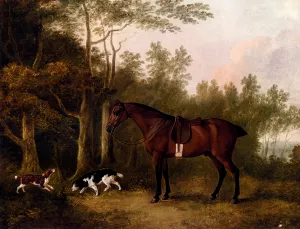 A Bay Hunter And Two Spaniels In A Landscape by John Boultbee Oil Painting