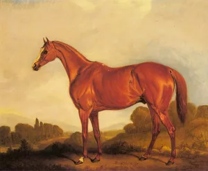A Portrait of the Racehorse Harkaway, the Winner of the 1838 Goodwood Cup by John Ferneley Snr. Oil Painting