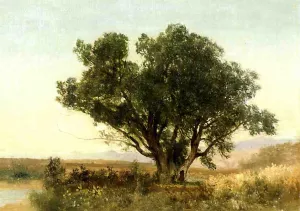 The Front Range, Colorado by John Frederick Kensett Oil Painting