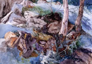 Study of the Rocks and Ferns, Crossmouth by John Ruskin Oil Painting