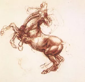 Rearing Horse by Leonardo Da Vinci Oil Painting