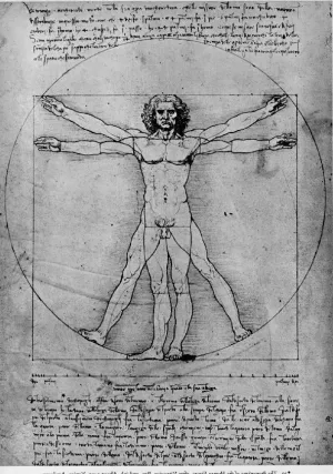 Vitruvian Man, Study of proportions, from Vitruvius's De Architectura by Leonardo Da Vinci Oil Painting
