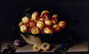 Basket of Apricots by Louise Moillon Oil Painting