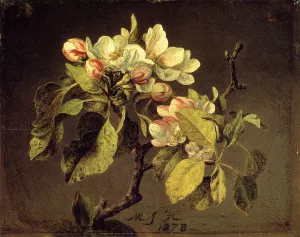 A Branch of Apple Blossoms and Buds by Martin Johnson Heade Oil Painting