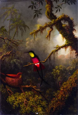 A Pair of Nesting Crimson Topaz Hummingbirds by Martin Johnson Heade Oil Painting