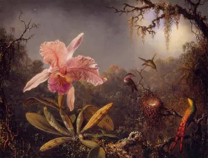 Cattleya Orchid and Three Brazilian Hummingbirds Oil painting by Martin Johnson Heade