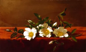 Cherokee Roses by Martin Johnson Heade Oil Painting