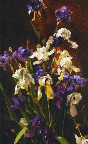 Irises by Mathias J Alten Oil Painting