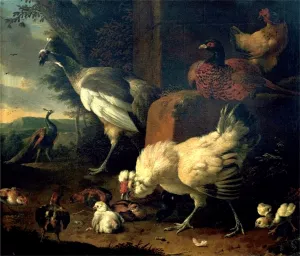 Domestic Fowl with a Pheasant and Peacocks by Melchior De Hondecoeter Oil Painting