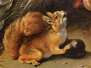 Red Squirrel and a Nut by Melchior De Hondecoeter Oil Painting