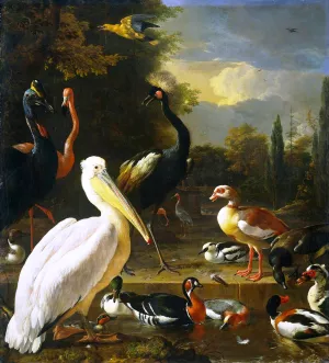 The Floating Feather by Melchior De Hondecoeter Oil Painting