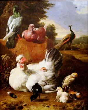 White Hen by Melchior De Hondecoeter Oil Painting