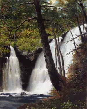 Raymondskill Falls, Pike County, Pennsylvania by Miner Kilbourne Kellogg Oil Painting