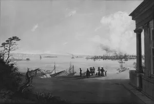 View of the City of New York and Governors Island Taken from Brooklyn Heights on the Morning after the Conflagration by Nicolino Calyo Oil Painting