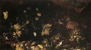 Still-Life with a Snake, Frogs, Tortoise and a Lizard by Paolo Porpora Oil Painting