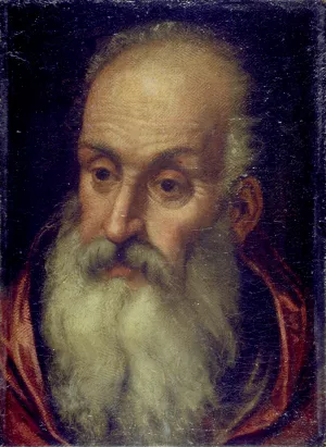 Head of an Old Bearded Man by Paolo Veronese Oil Painting