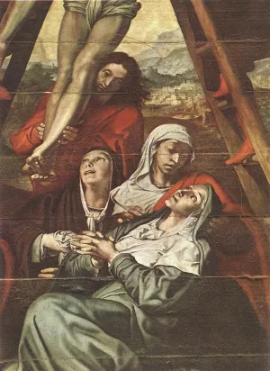 Descent from the Cross Detail by Pedro De Campana Oil Painting