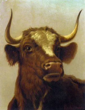 Head of a Bull by Rosa Bonheur Oil Painting