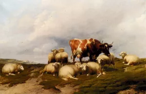 A Cow And Sheep On The Cliffs by Thomas Sidney Cooper Oil Painting