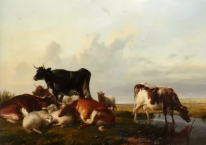 Cattle and Sheep Probably in Canterbury Meadows by Thomas Sidney Cooper Oil Painting