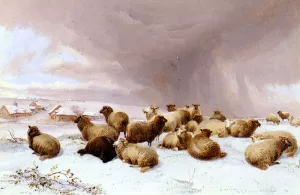 Sheep In Winter by Thomas Sidney Cooper Oil Painting