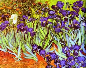 Irises 1889 by Vincent van Gogh Oil Painting