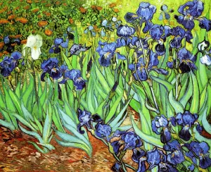 Irises II Oil Painting by Vincent van Gogh - Bestsellers