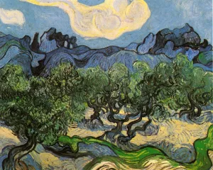 Olive Trees with the Alpilles in the Background Oil painting by Vincent van Gogh