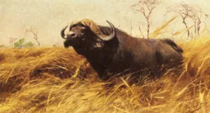 An African Buffalo by Wilhelm Kuhnert Oil Painting