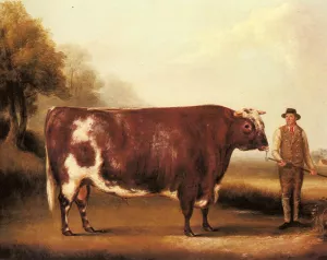 A Dark Roan Bull by William M. Davis Oil Painting