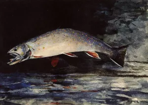 A Brook Trout Oil painting by Winslow Homer