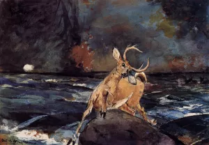 A Good Shot, Adirondacks Oil painting by Winslow Homer