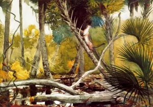 In the Jungle, Florida by Winslow Homer Oil Painting